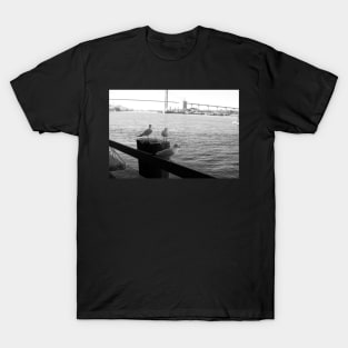 Savannah River Seagulls T-Shirt